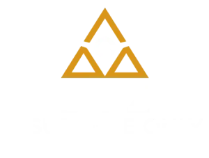 Logo biz insurance only